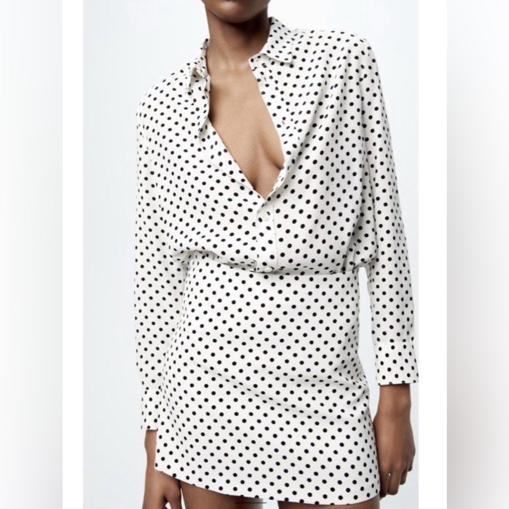 Zara Polka Dot Skirt